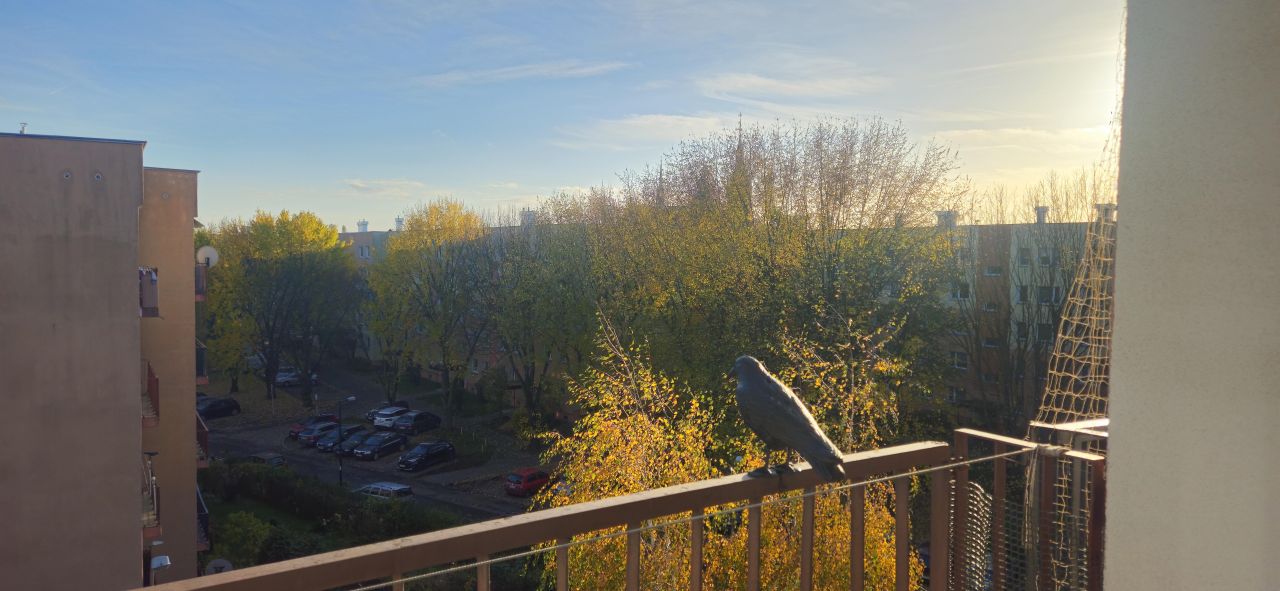 Mieszkanie 2-pokojowe Łódź Chojny, ul. Mieszczańska. Zdjęcie 20