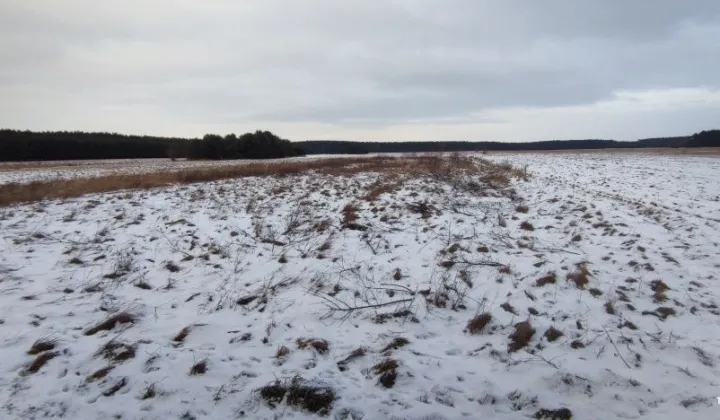 Działka budowlana Parchów