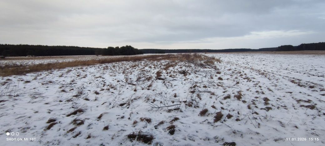 Działka budowlana Parchów