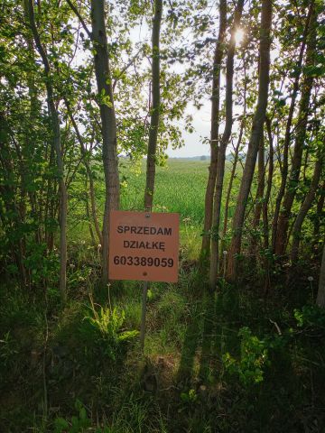 Działka budowlana Kręgi Nowe, Kręgi Nowe. Zdjęcie 5