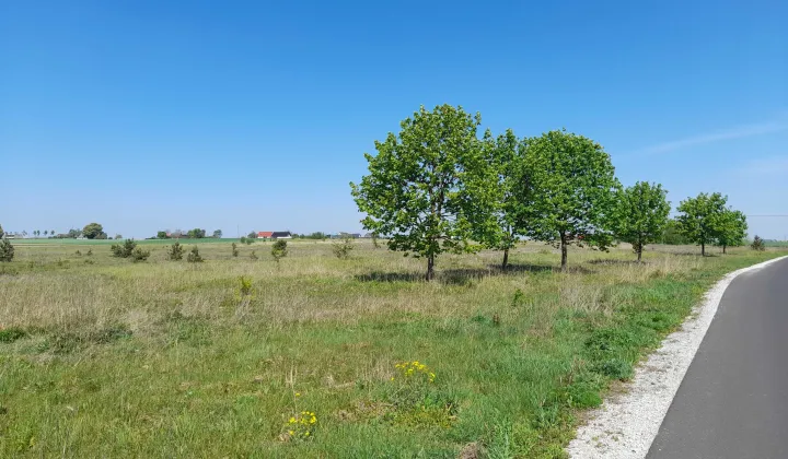 Działka rolno-budowlana Ujazd