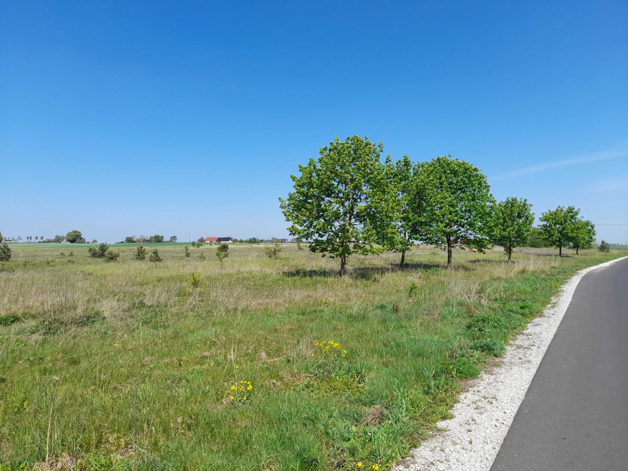 Działka rolno-budowlana Ujazd. Zdjęcie 1
