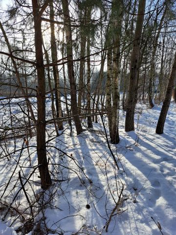 Działka budowlana Pogorzel, ul. Słowicza. Zdjęcie 5