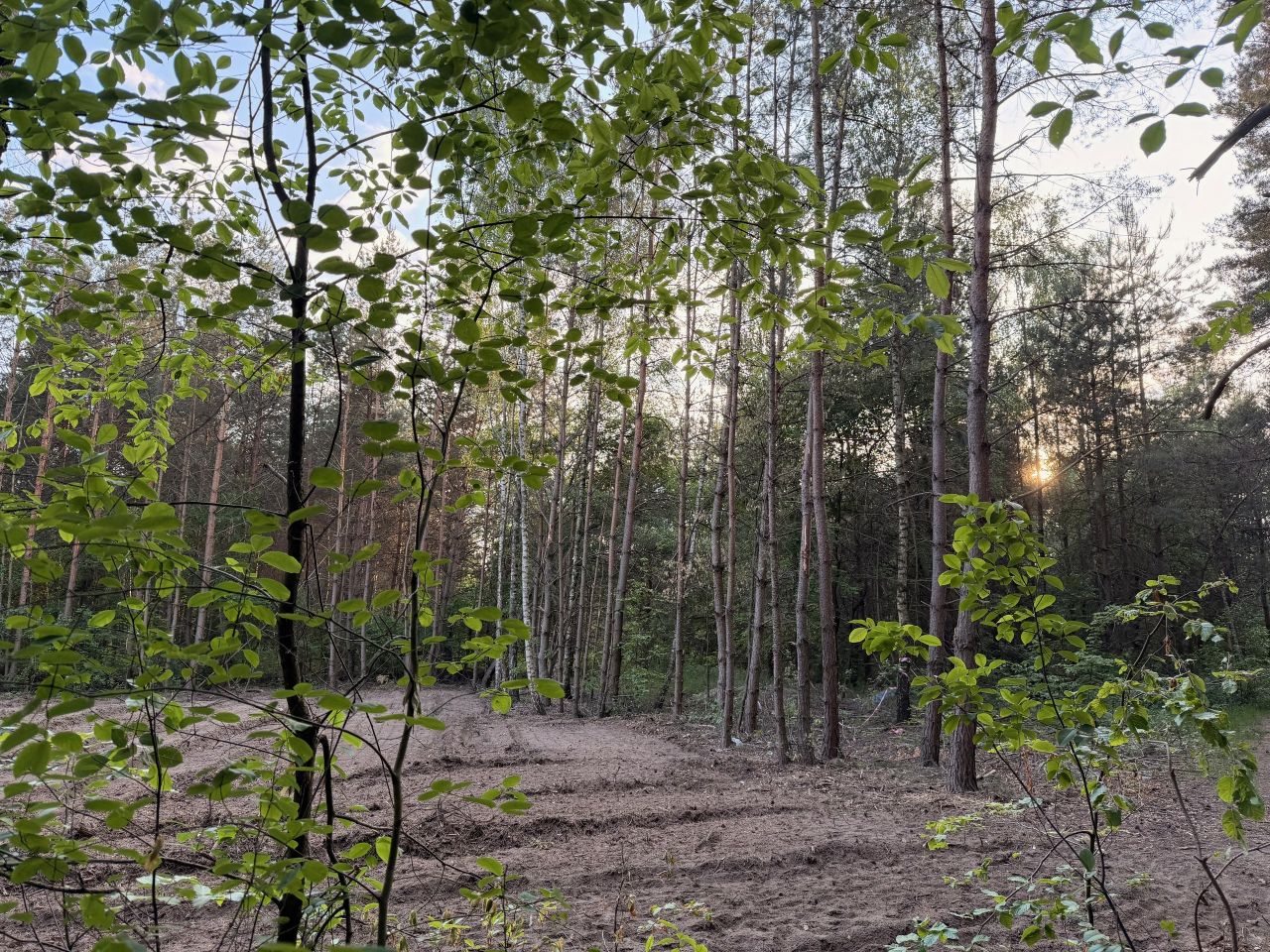 Działka budowlana Bukowiec Bukowiec Duży, ul. Fiołkowa. Zdjęcie 6