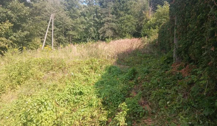Działka rekreacyjna Czubrowice
