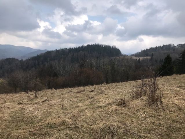 Działka rolna Szczawnica. Zdjęcie 1