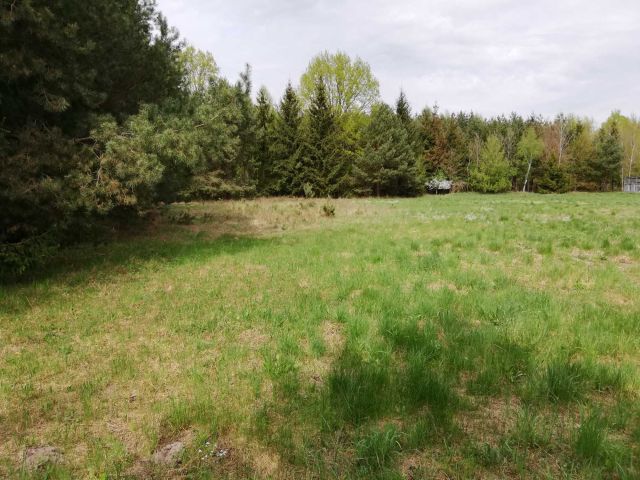 Działka budowlana Sękowo. Zdjęcie 1