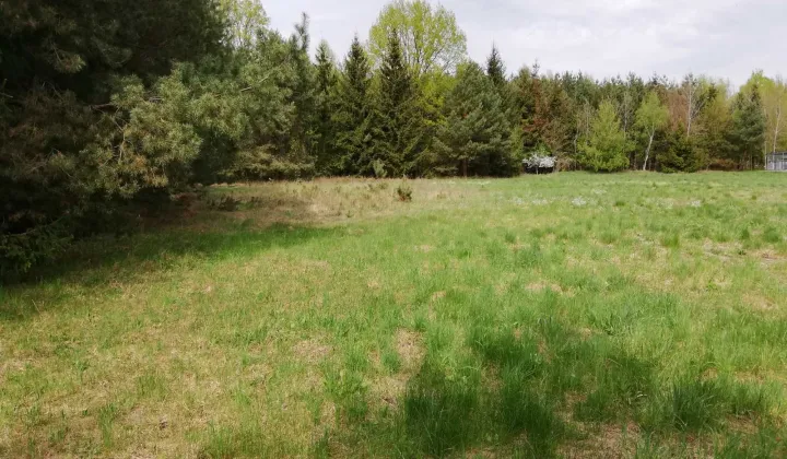 Działka budowlana Sękowo