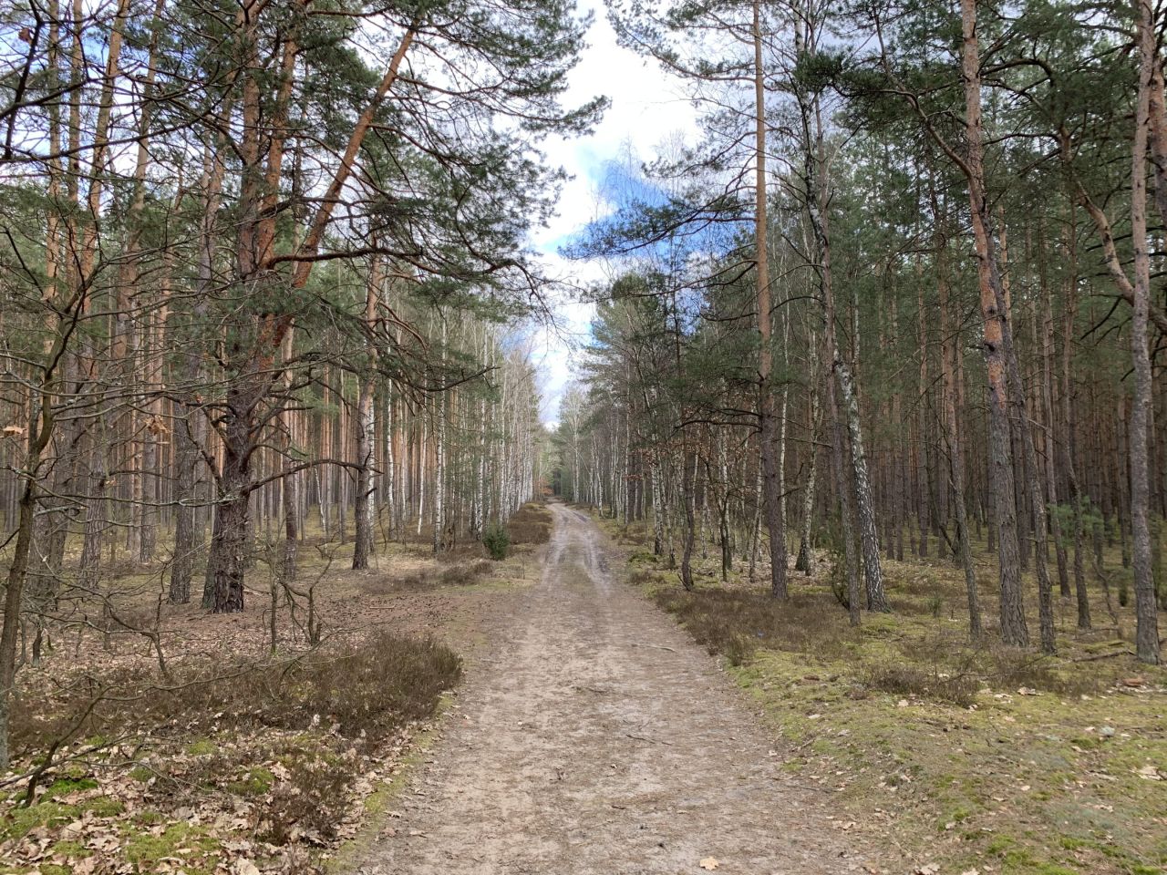 Działka budowlana Otwock Soplicowo, ul. Protazego. Zdjęcie 2