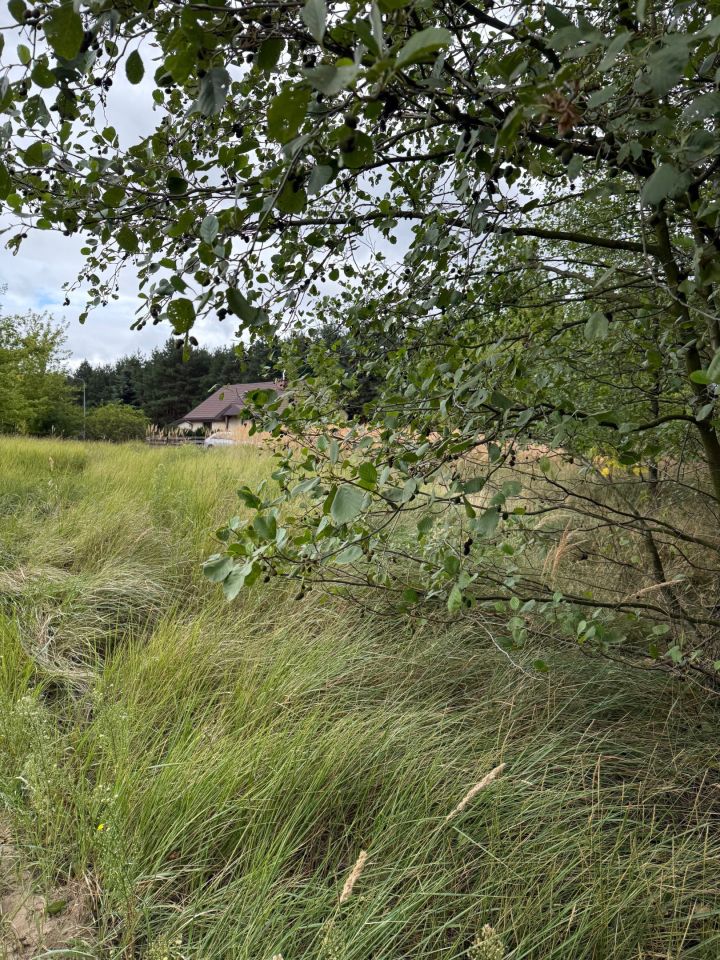 Działka budowlana Kuznocin. Zdjęcie 2