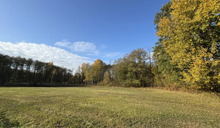 Działka budowlana Budy Ciepielińskie