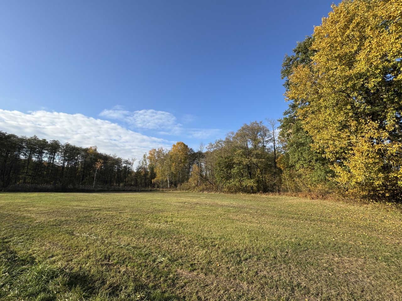 Działka budowlana Budy Ciepielińskie