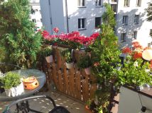 Mieszkanie 3-pokojowe Mikołów Centrum, ul. Górnicza. Zdjęcie 4