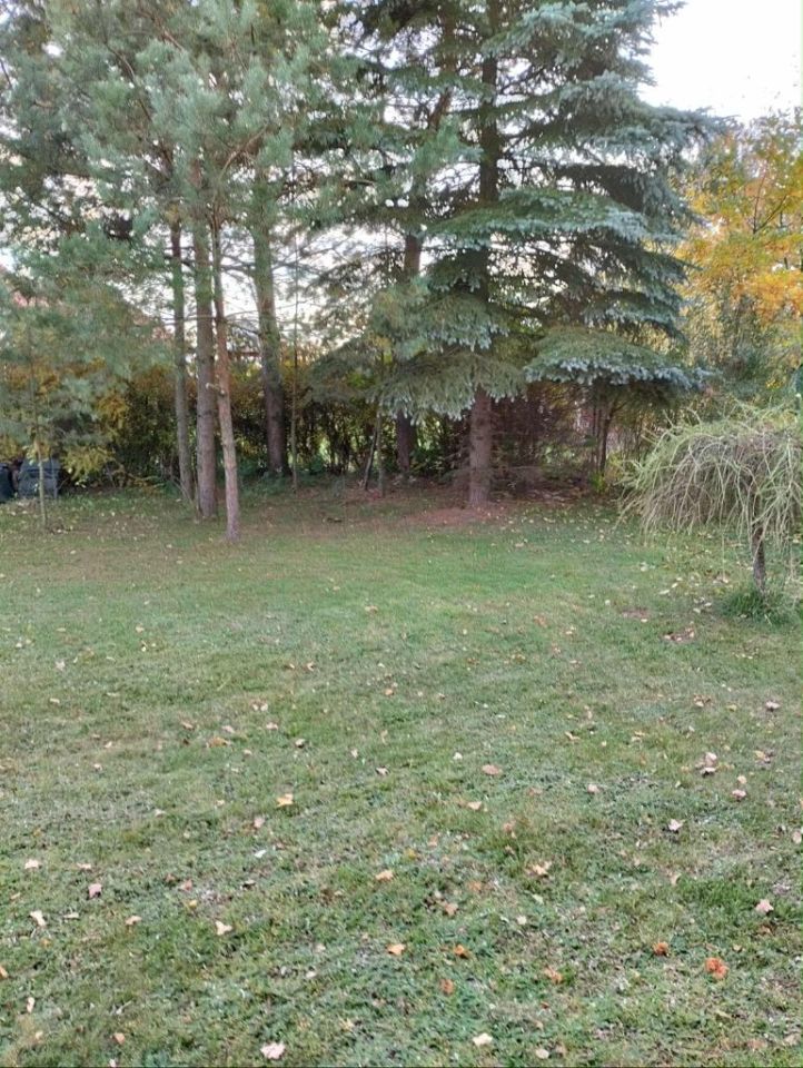 Działka budowlana Starachowice, ul. Żytnia. Zdjęcie 7