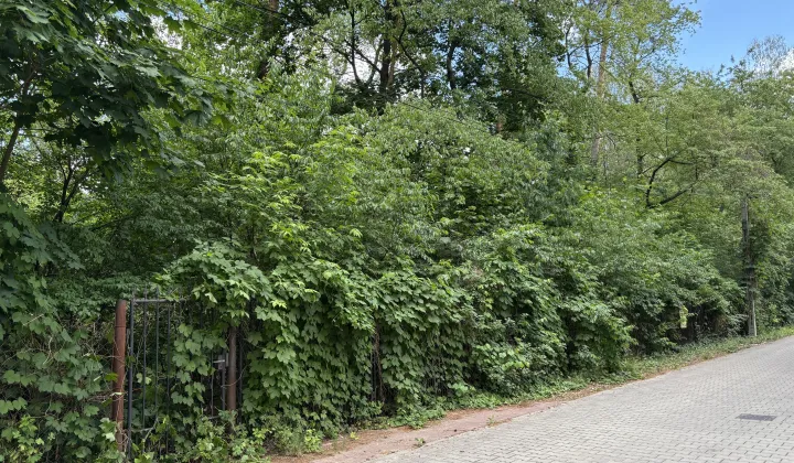 Działka budowlana Podkowa Leśna, Lilpopa 69