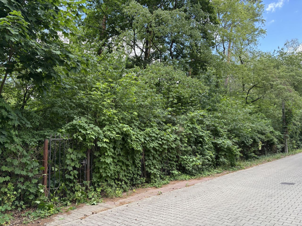 Działka budowlana Podkowa Leśna, Lilpopa 69. Zdjęcie 1
