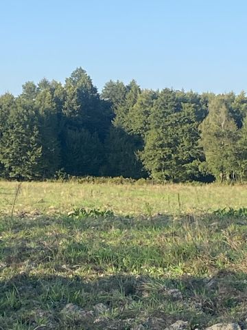 Działka siedliskowa Karnice. Zdjęcie 1
