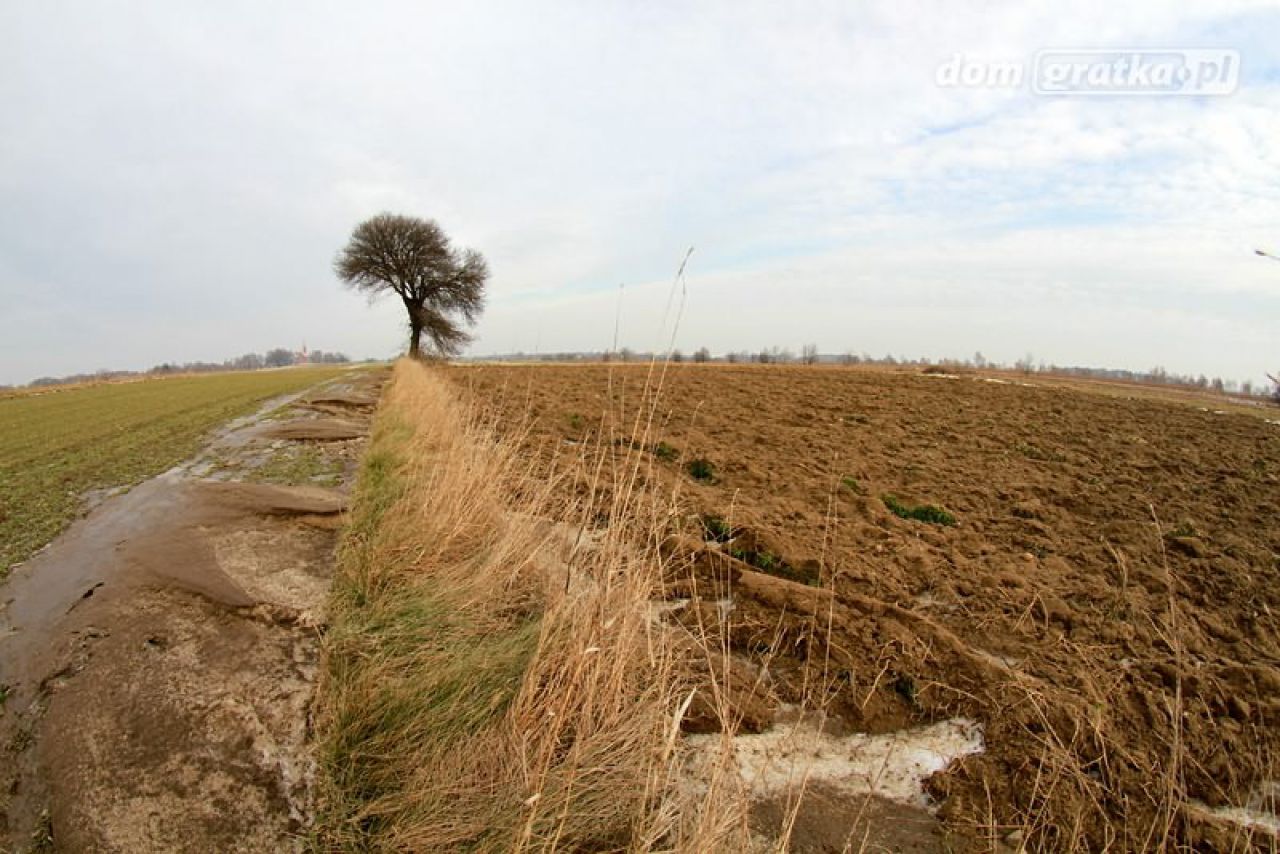 Działka rolno-budowlana Dobra-Nowiny, ul. Marii Piotrowiczowej. Zdjęcie 10