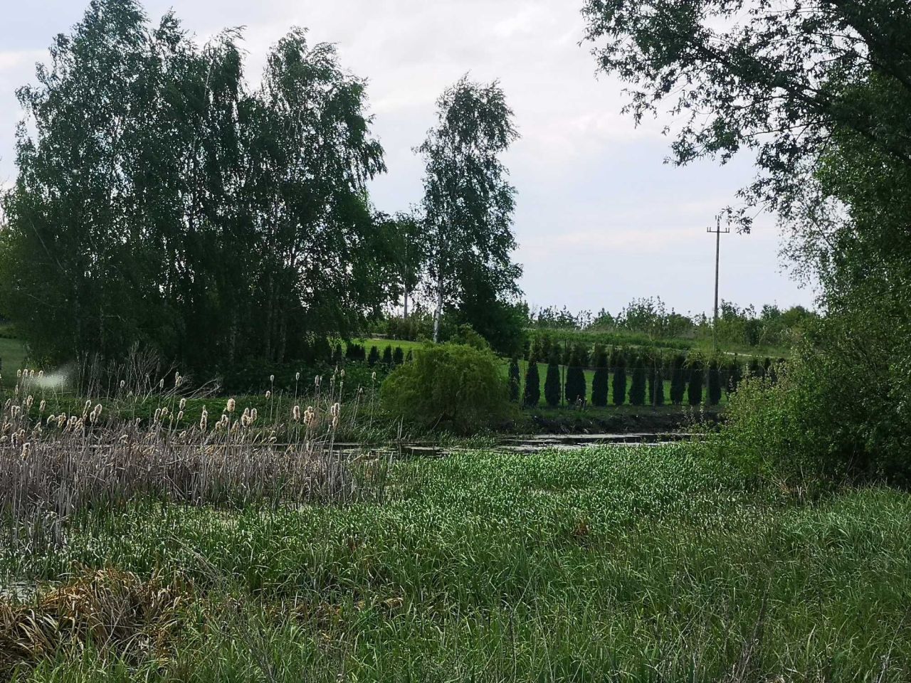 Działka budowlana Obórki. Zdjęcie 5