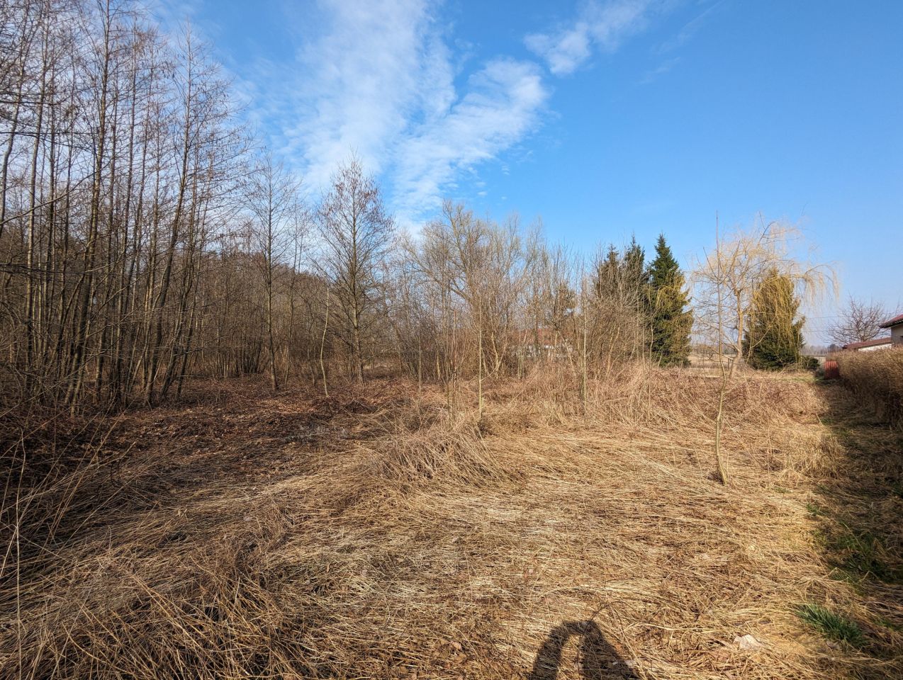 Działka budowlana Kalina Górecka. Zdjęcie 2