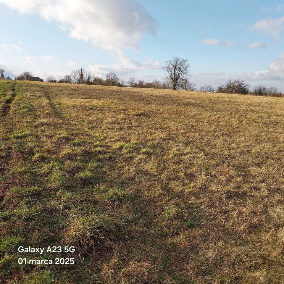 Działka budowlana Lemierzyce. Zdjęcie 4