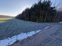 Działka leśna Goździków. Zdjęcie 4