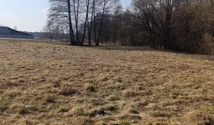 Działka budowlana Falki