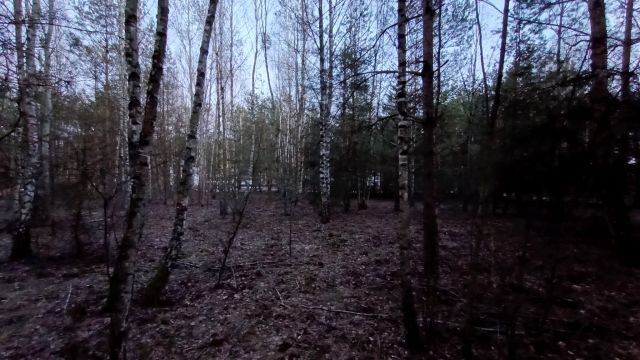 Działka budowlana Trzciany, ul. Paproci. Zdjęcie 1