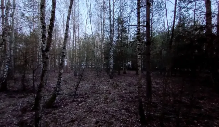 Działka budowlana Trzciany, ul. Paproci