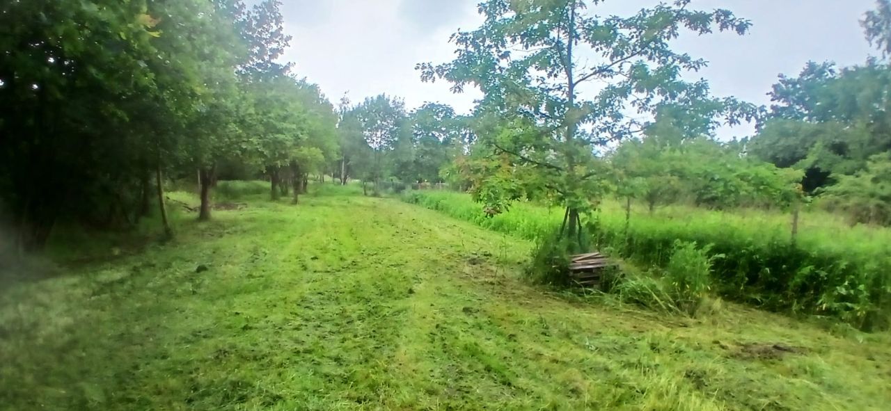Działka budowlana Pęgów, ul. Adama Mickiewicza. Zdjęcie 8