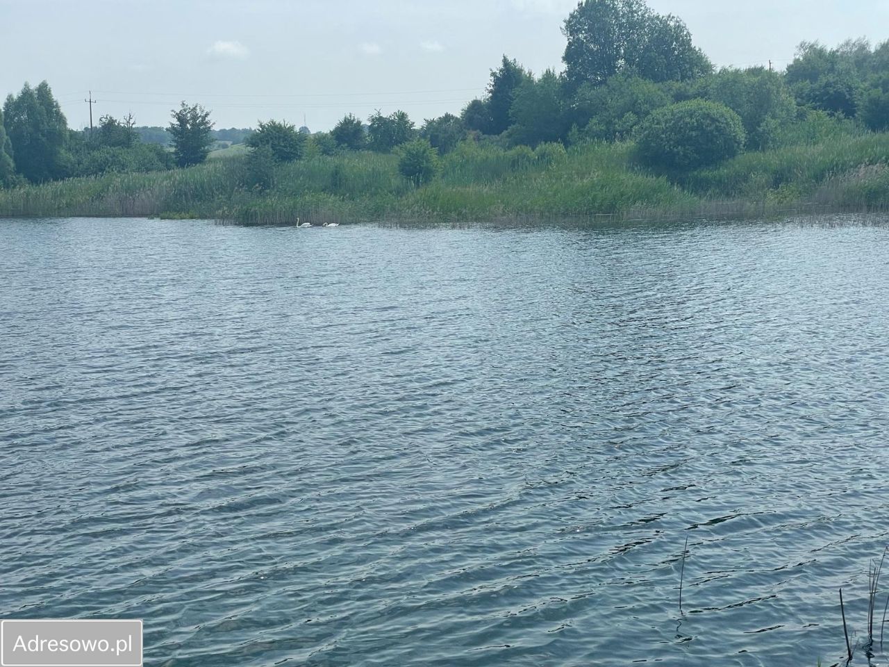 Działka budowlana Plenowo. Zdjęcie 9