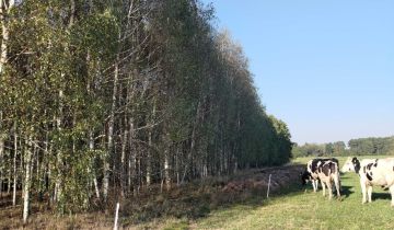 Działka siedliskowa Wólka Miedzyńska