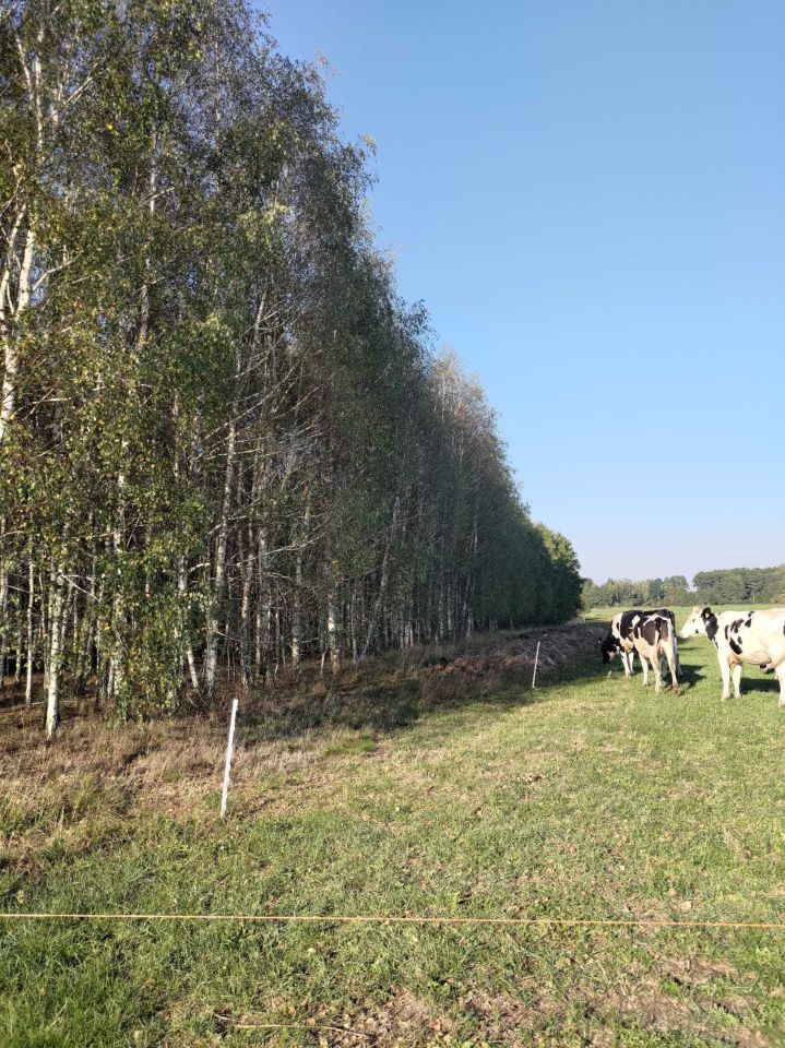 Działka siedliskowa Wólka Miedzyńska. Zdjęcie 2