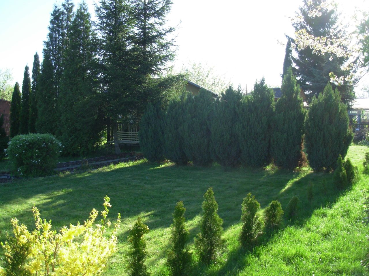 Działka rod Świdnik, al. Lotników Polskich. Zdjęcie 8