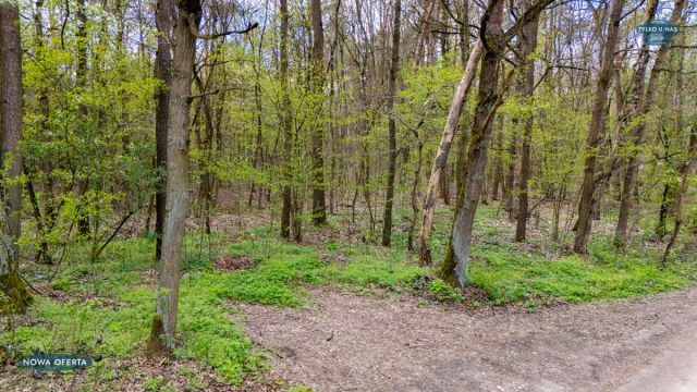 Działka budowlana Kwiatkowice-Las, ul. Słoneczna. Zdjęcie 2