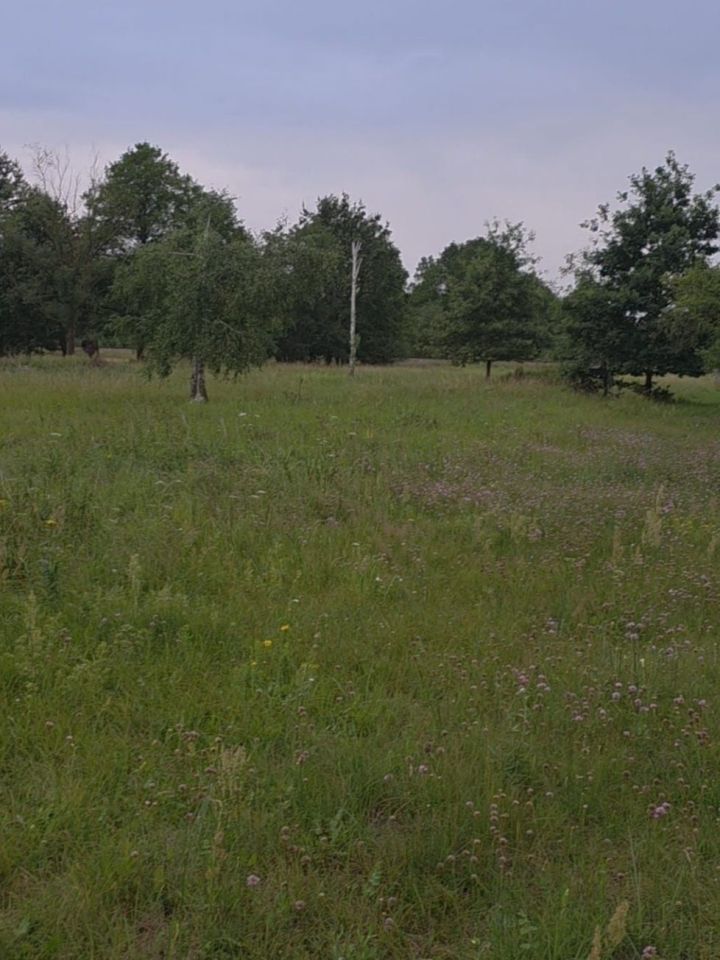 Działka budowlana Mały Rudnik. Zdjęcie 1