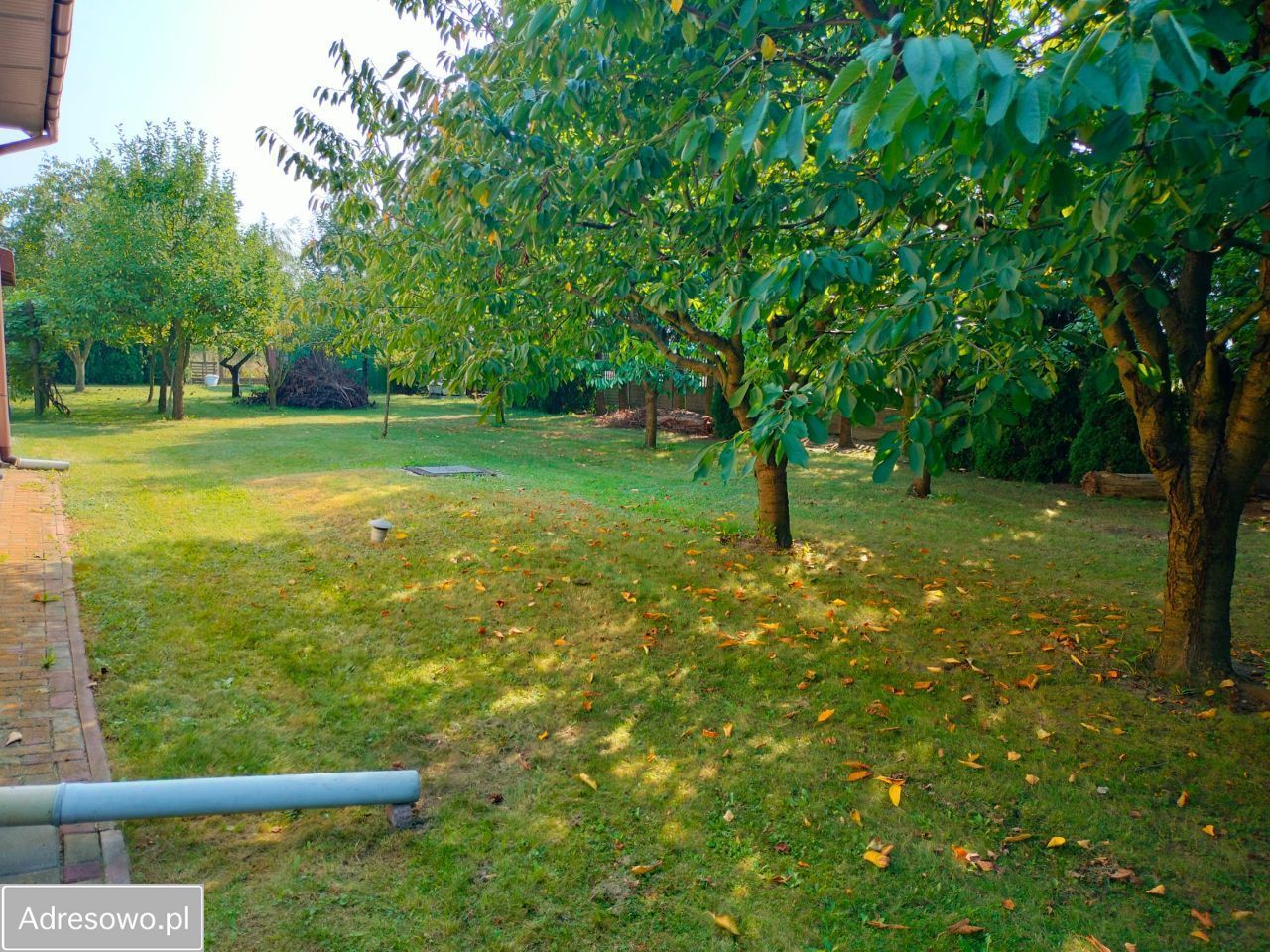 siedlisko, 4 pokoje Dachowa. Zdjęcie 8