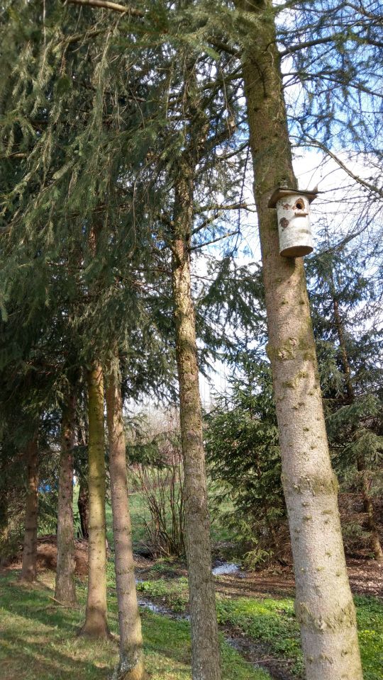 Działka rekreacyjna Nozdrzec. Zdjęcie 9