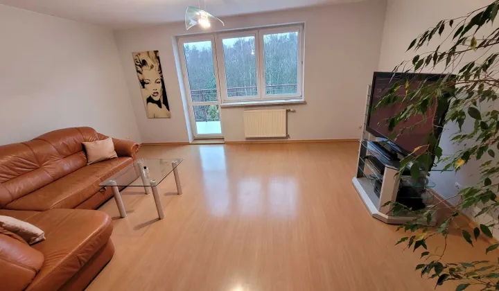 Mieszkanie 2-pokojowe Łódź Widzew, ul. Oleńki Billewiczówny