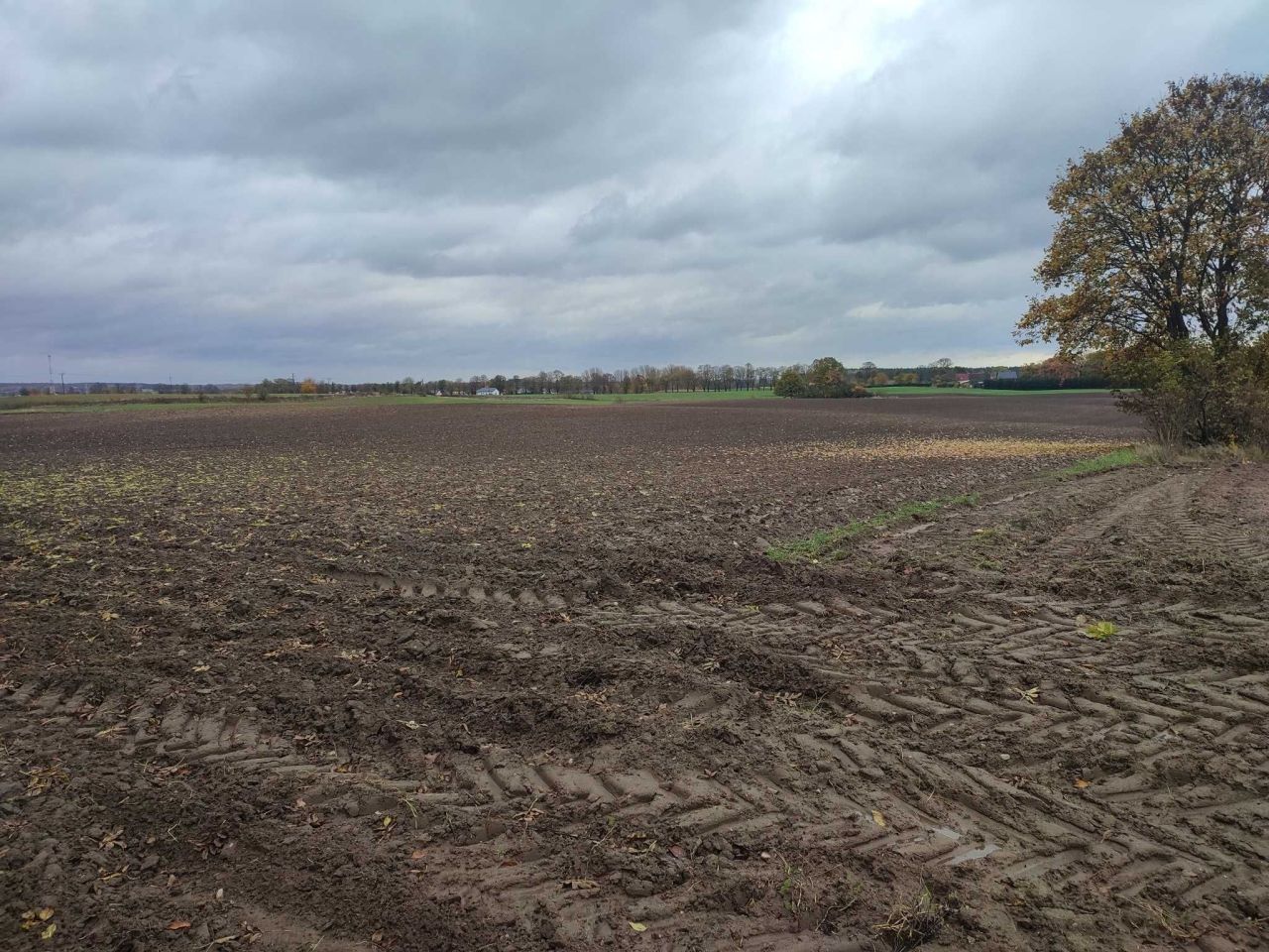 Działka rolna Czaplinek, ul. Pławieńska. Zdjęcie 6