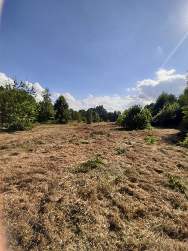 Działka rolna Michałów. Zdjęcie 12