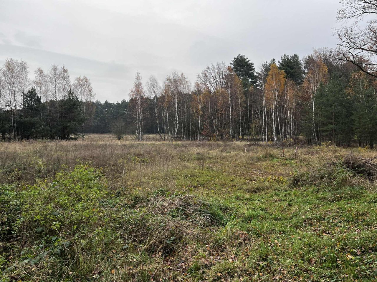 Działka rolno-budowlana Dąbrowiec. Zdjęcie 7