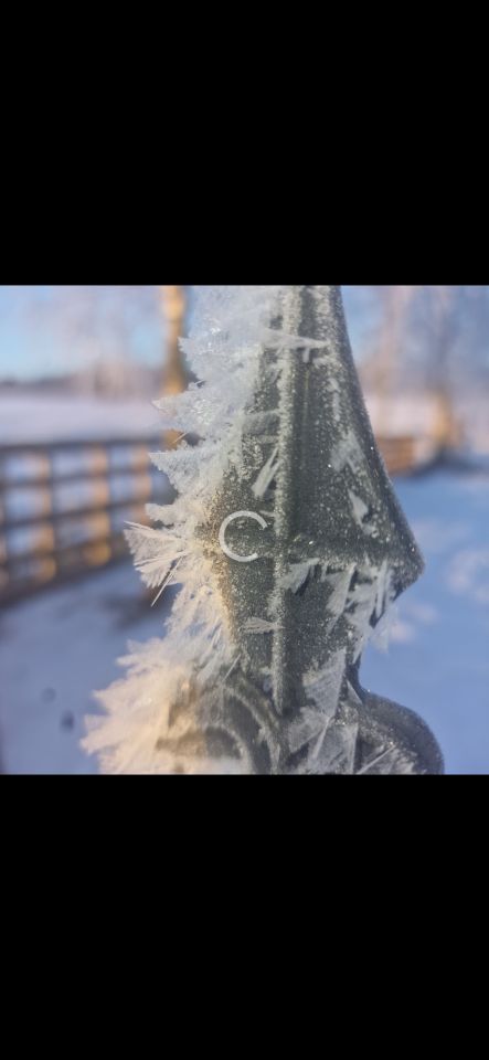 dom wolnostojący, 4 pokoje Radosław. Zdjęcie 2