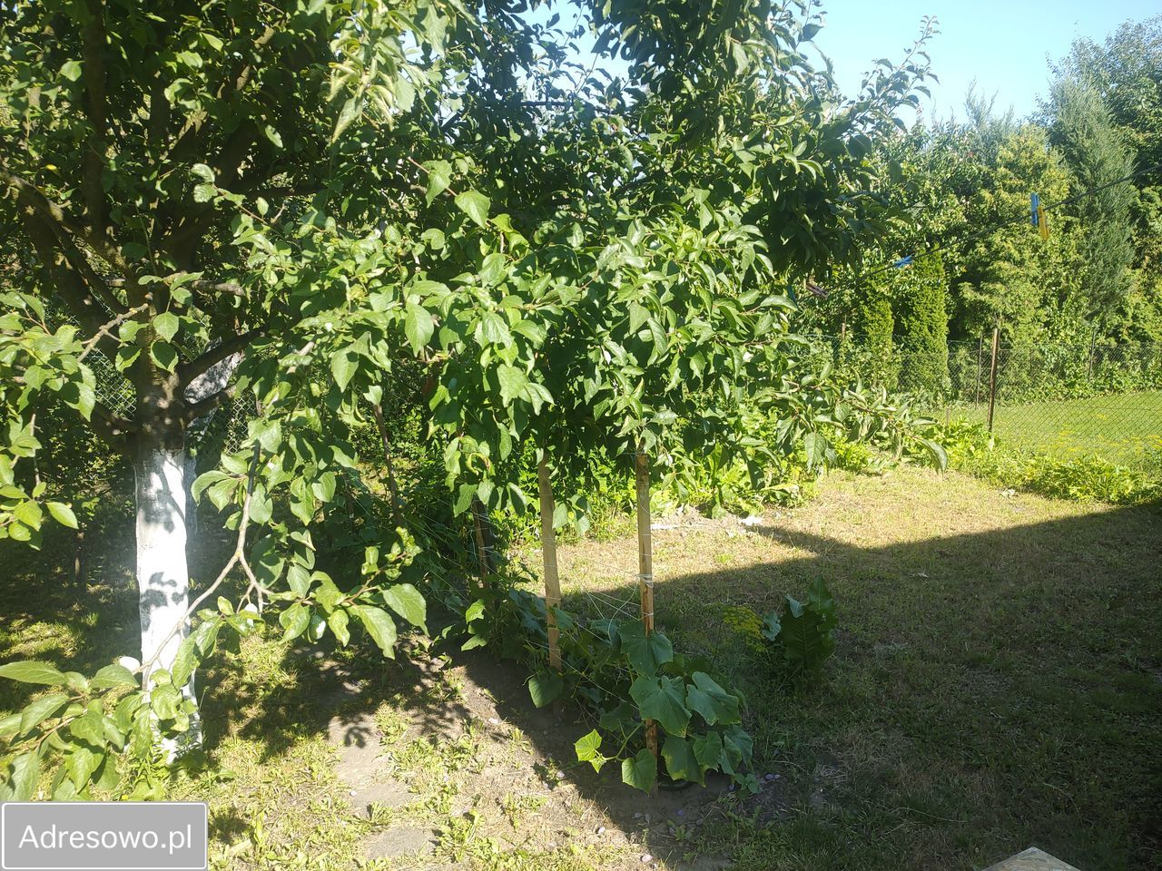 bliźniak, 2 pokoje Gniezno, ul. Pogodna. Zdjęcie 4