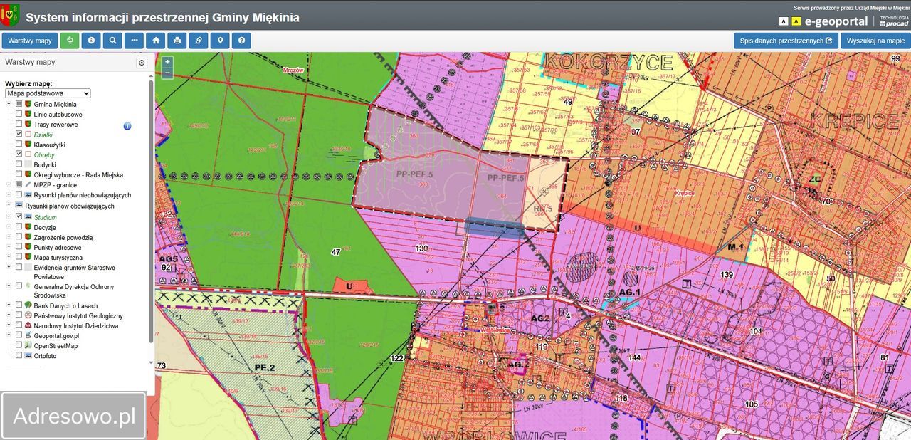 Działka inwestycyjna Wróblowice, ul. Akacjowa. Zdjęcie 2