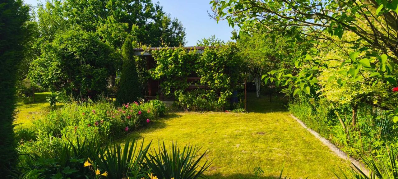 Działka rekreacyjna Lubin