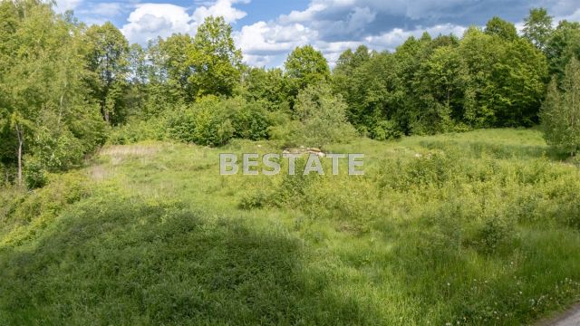 Działka leśna Szynwałd. Zdjęcie 7