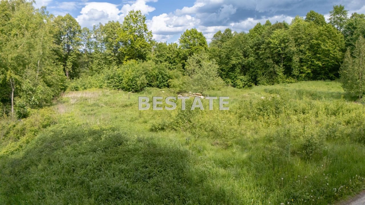 Działka leśna Szynwałd. Zdjęcie 7