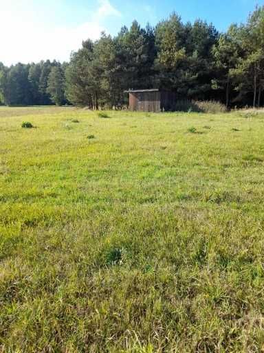 Działka budowlana Piszczac-Kolonia. Zdjęcie 6