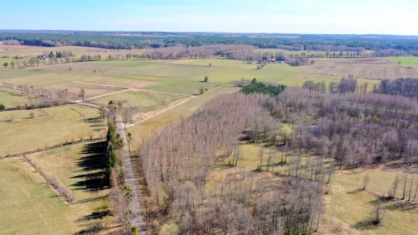 Działka leśna Harsz. Zdjęcie 4